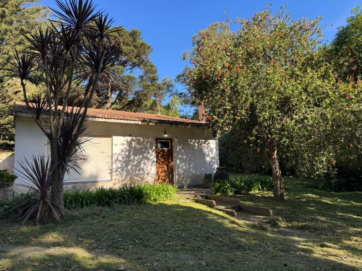 Terrenos Ruta 226 km19