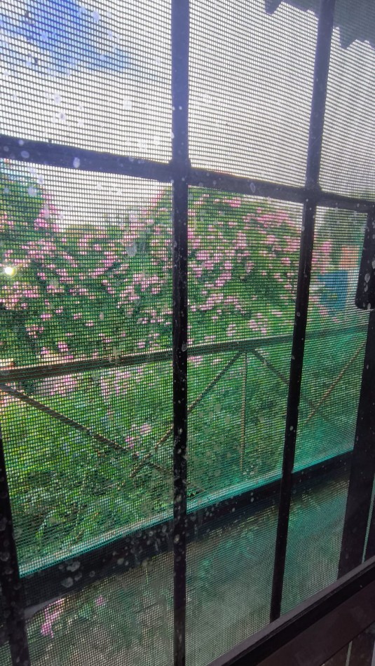 ALQUILER 24 MESES / CASA EN PH / BARRIO NUEVO GOLF